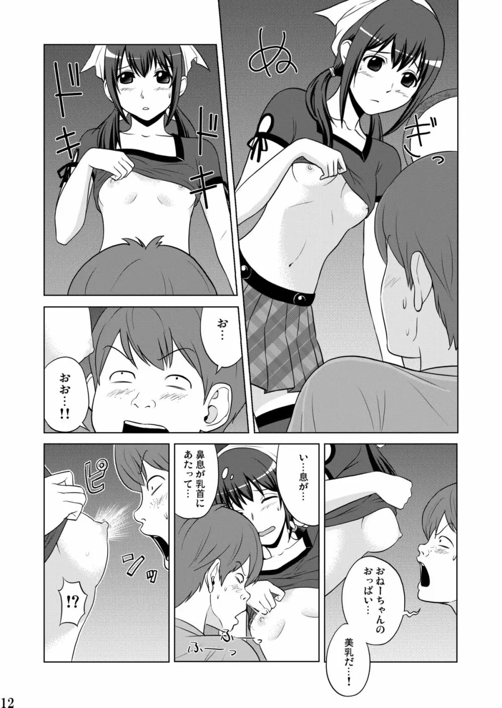 妹魂2 ～シスコーン～ Page.12