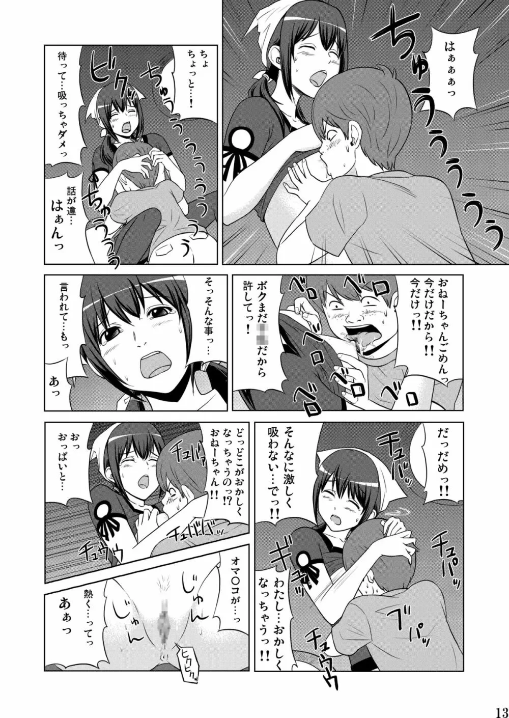妹魂2 ～シスコーン～ Page.13