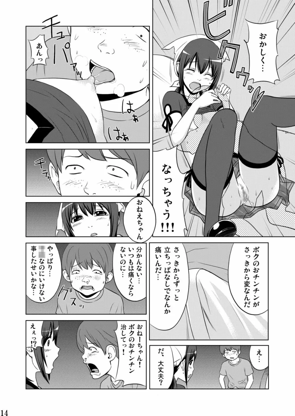 妹魂2 ～シスコーン～ Page.14
