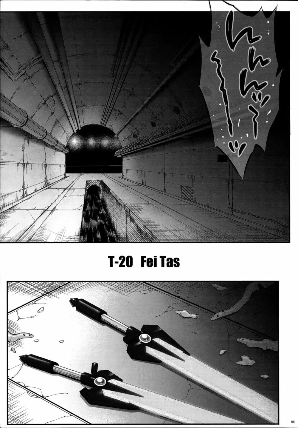 T-20 Fei Tas Page.4