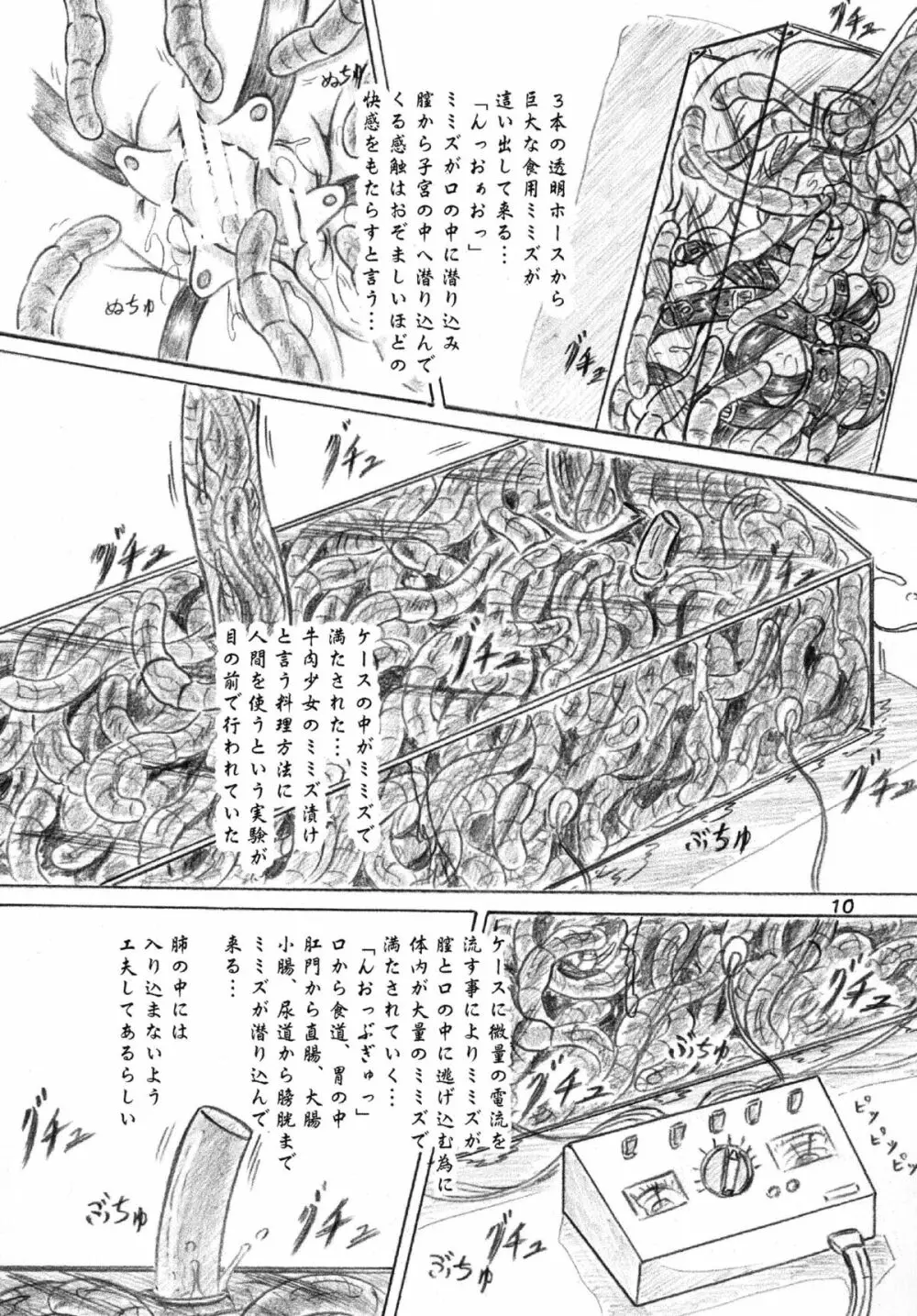 生物倶楽部、おまけコピー本2冊付 Page.9