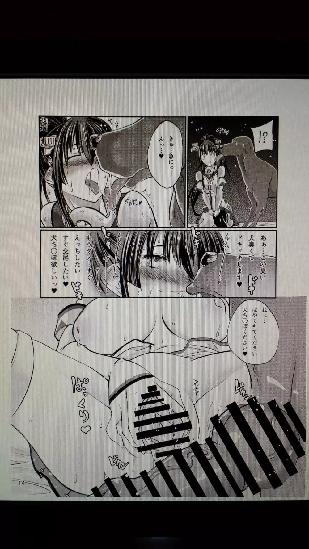 獣姦これくしょん改二 Page.14
