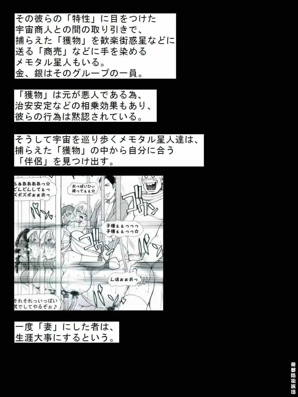 [帝都防衛旅団] RTKBOOK 9-3 「M○Xいぢり(3) 『PANPAN-MAN』」 Page.29