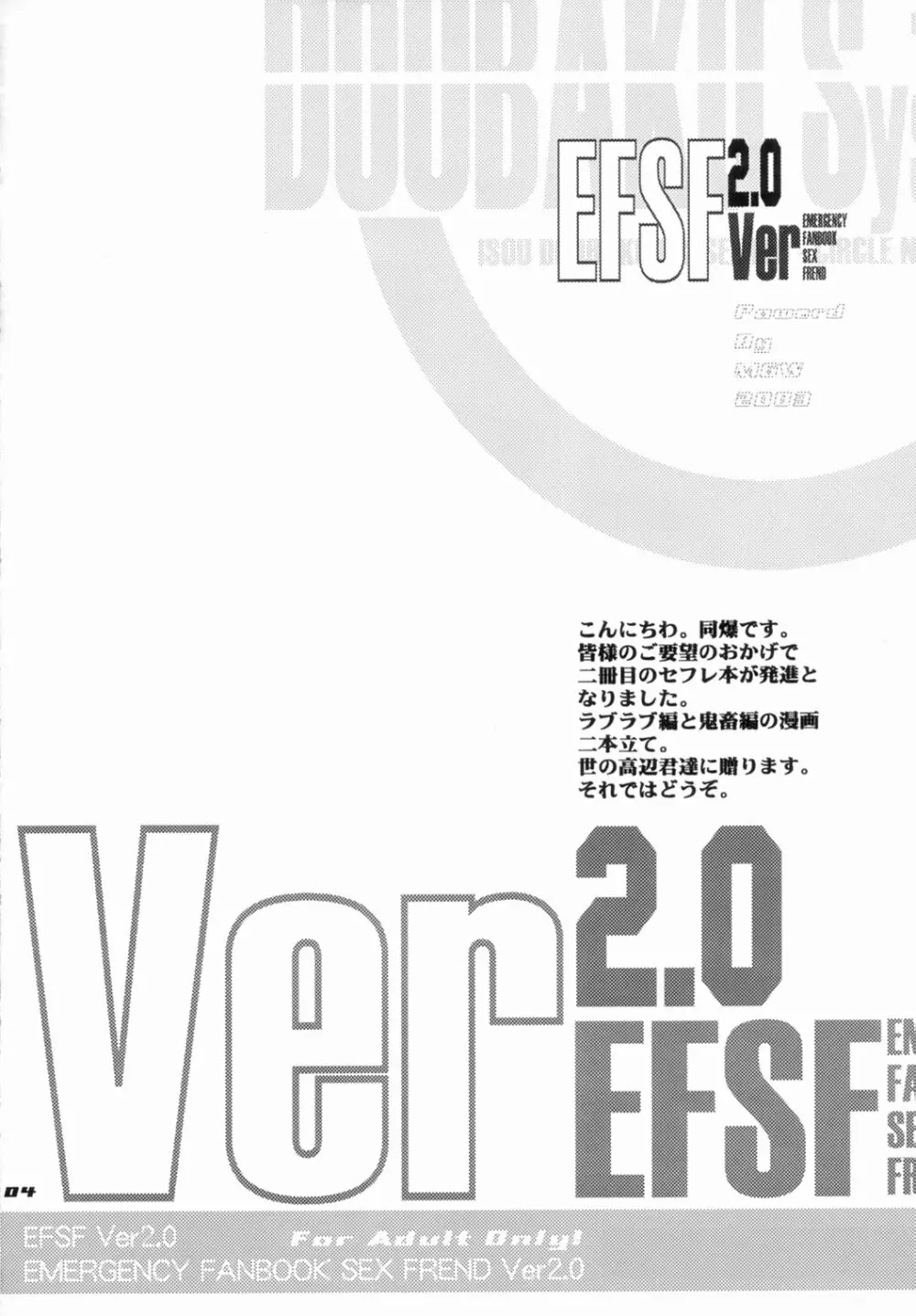 EFSF ver2.0 Page.4