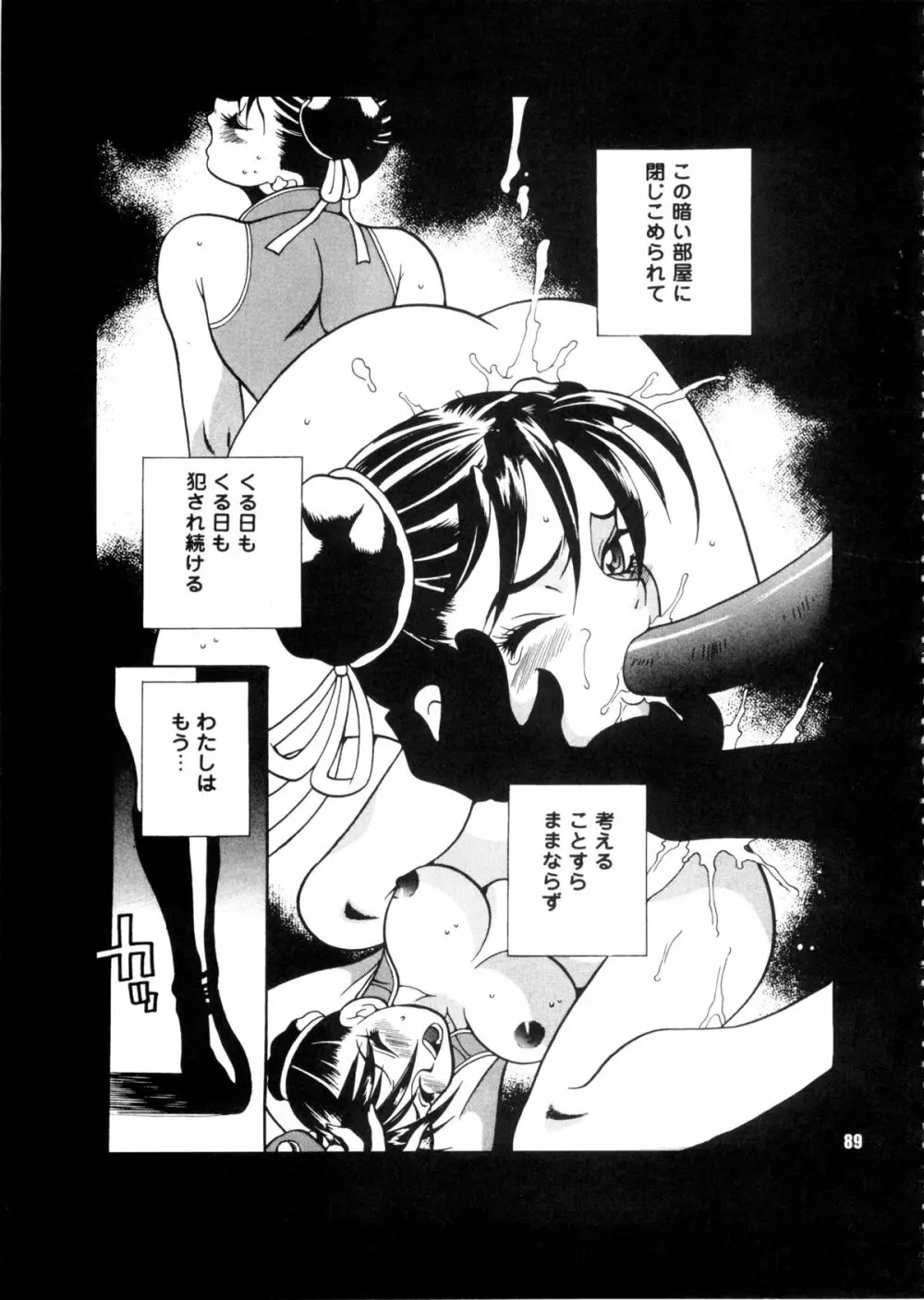 ゆきやなぎの本28 春麗まとめ Page.89