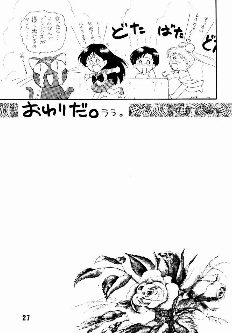 セーラームーン人生 Page.26