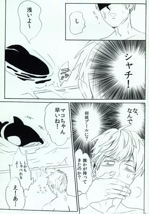 シャチまこ! Page.6