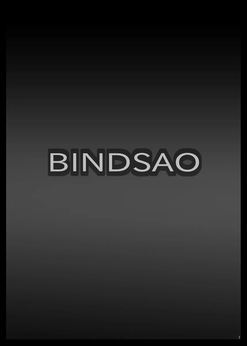 Bind SAO Page.3