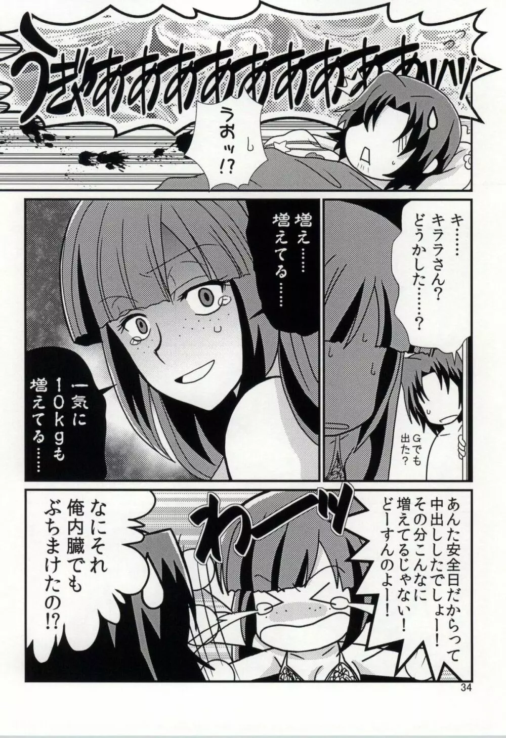 FKダークマターブースター Page.33