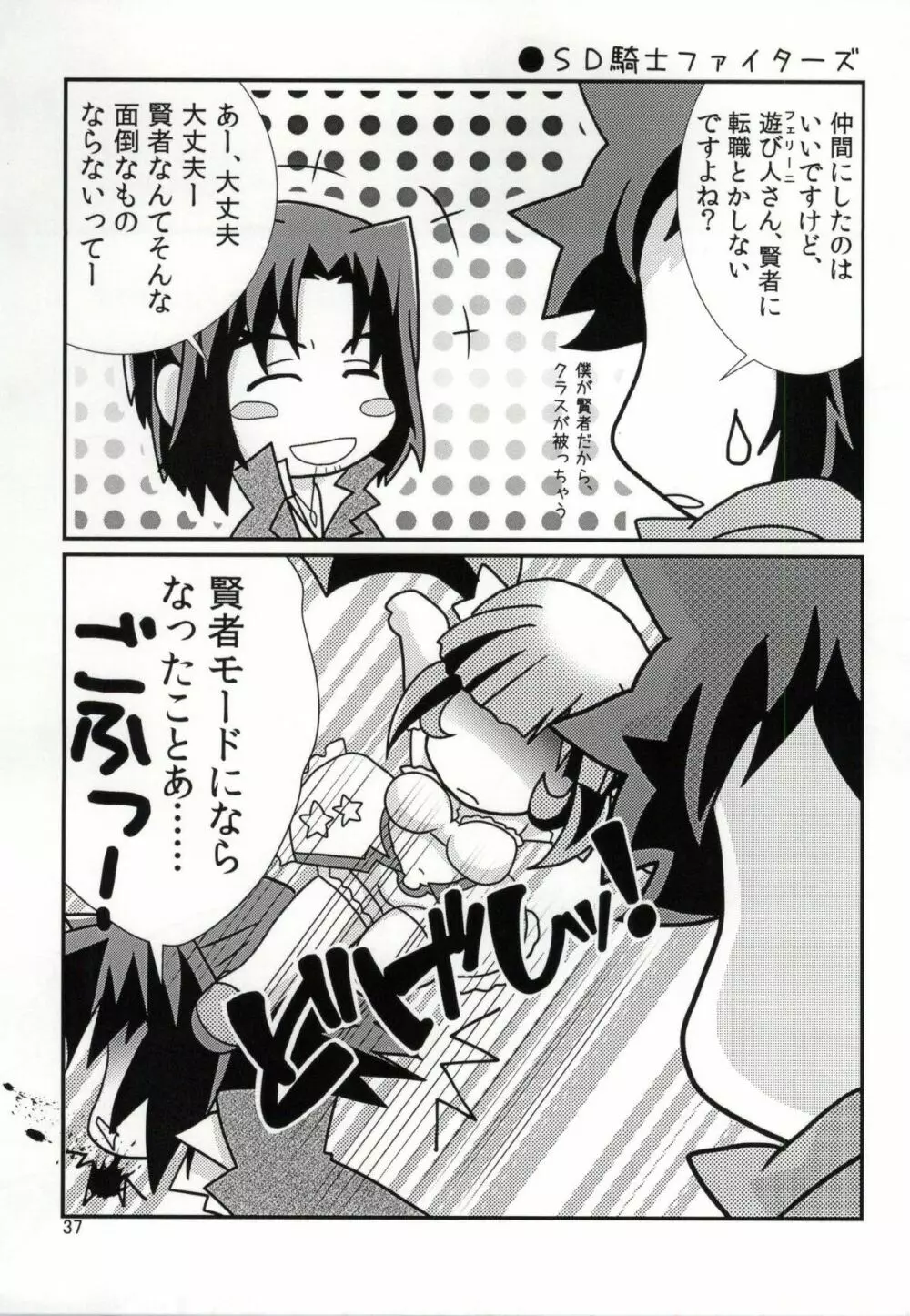 FKダークマターブースター Page.36