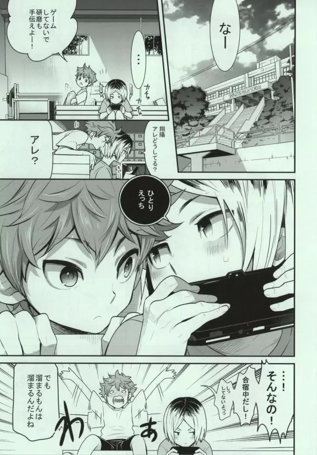 ヒナネコ Page.2