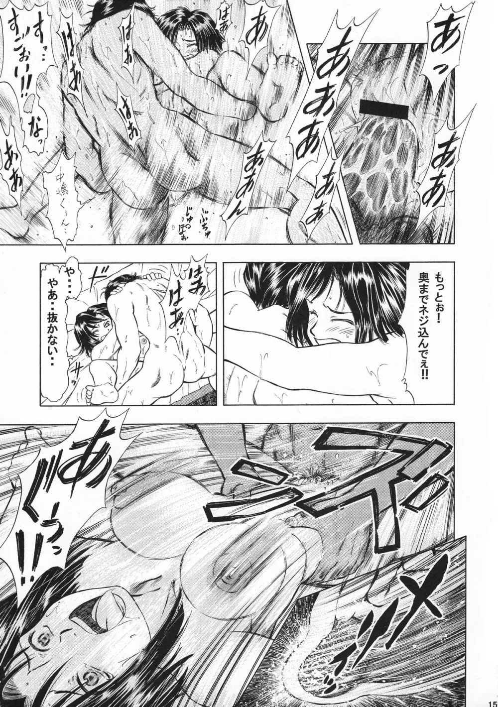 TAIHOプラス2 Page.14