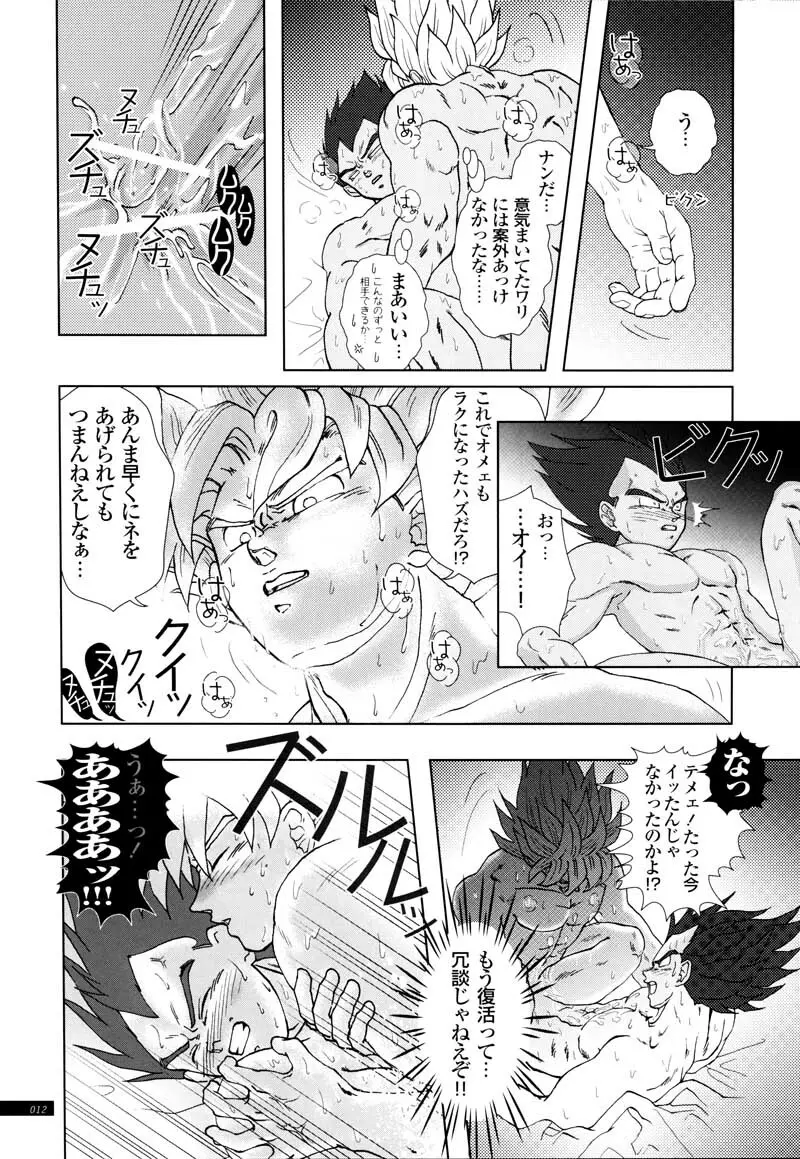 Sairokua Page.10