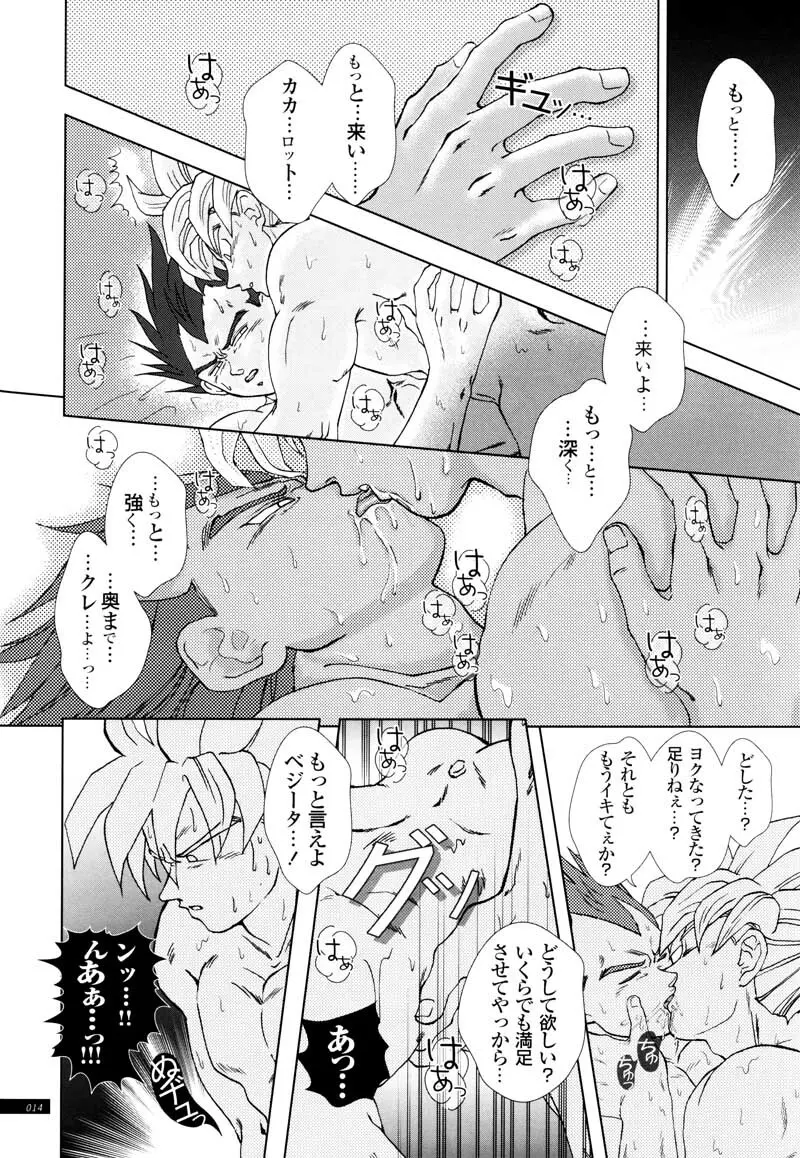 Sairokua Page.12