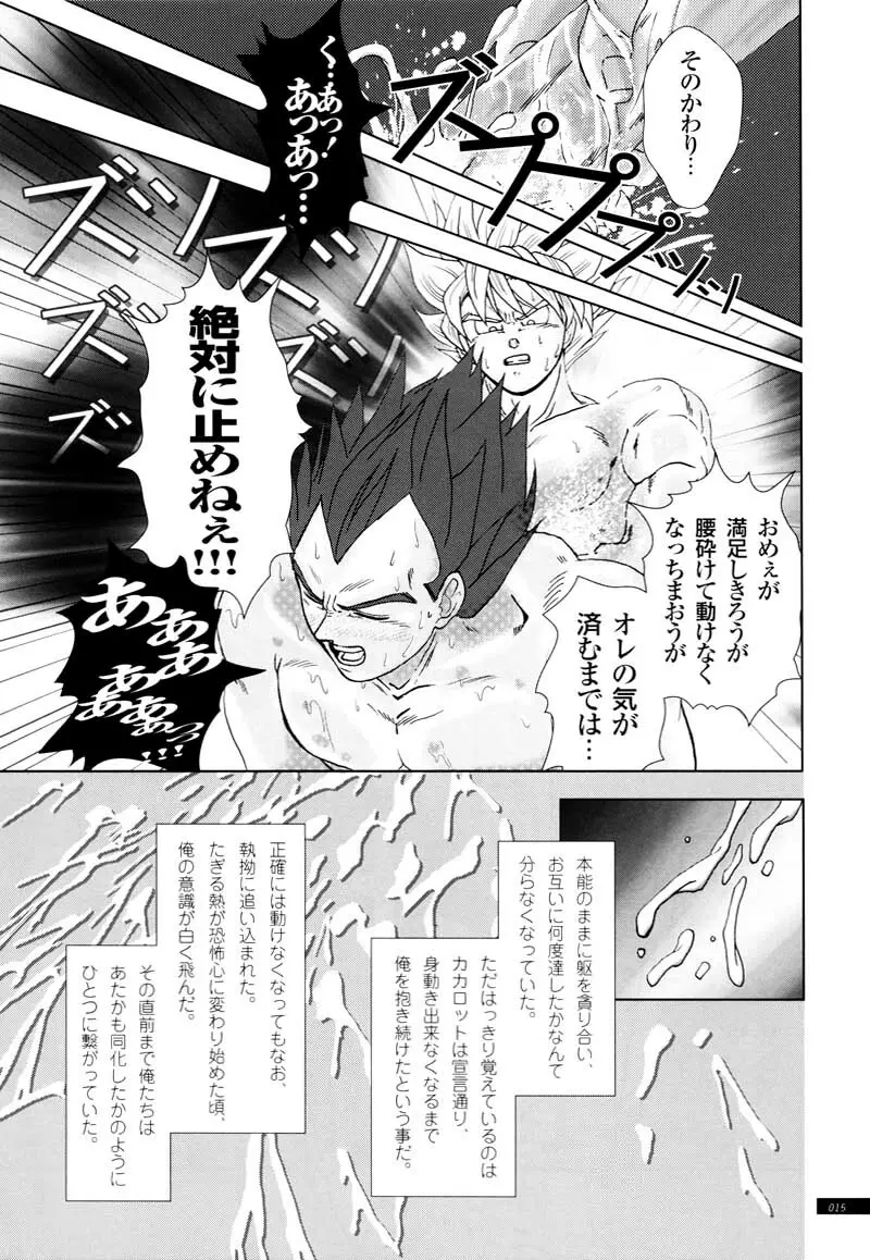 Sairokua Page.13