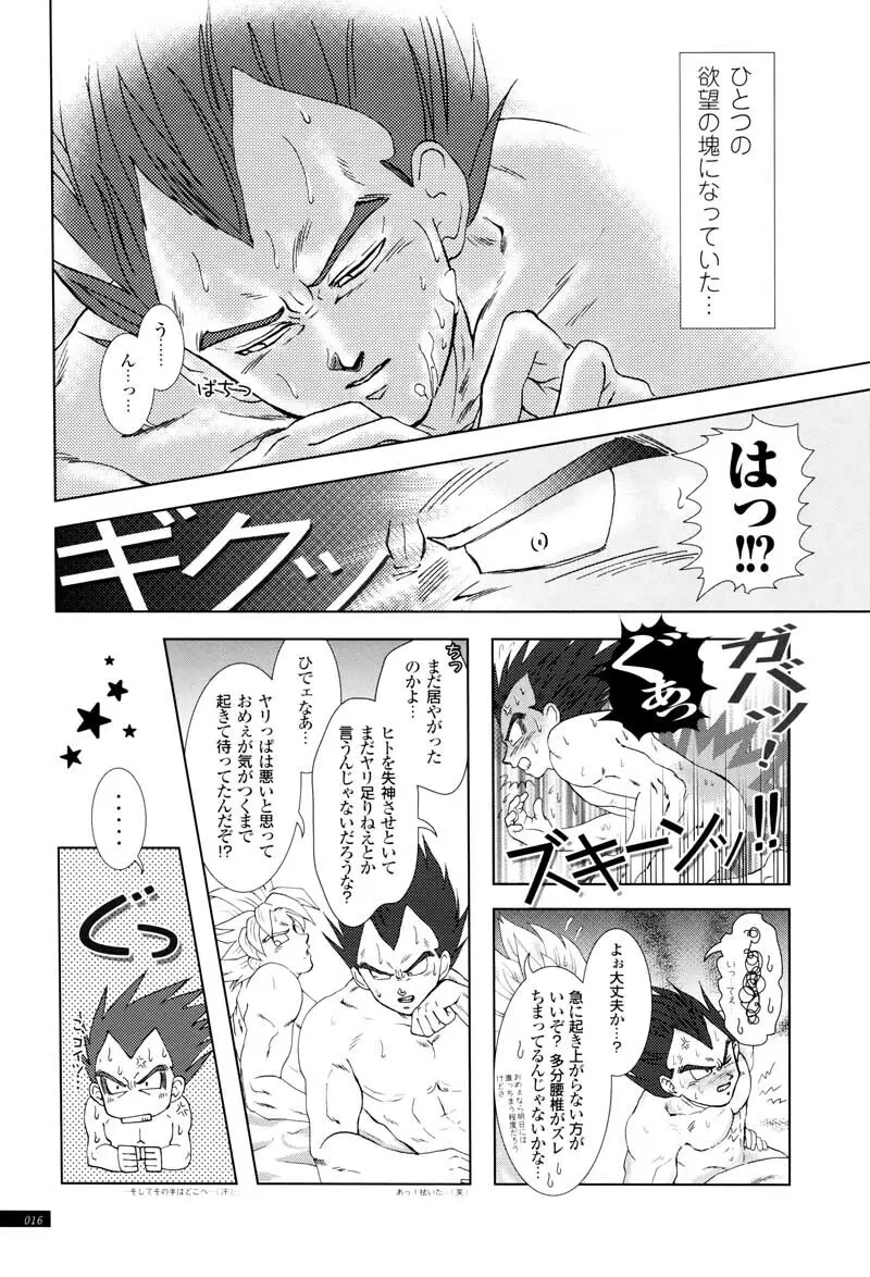 Sairokua Page.14