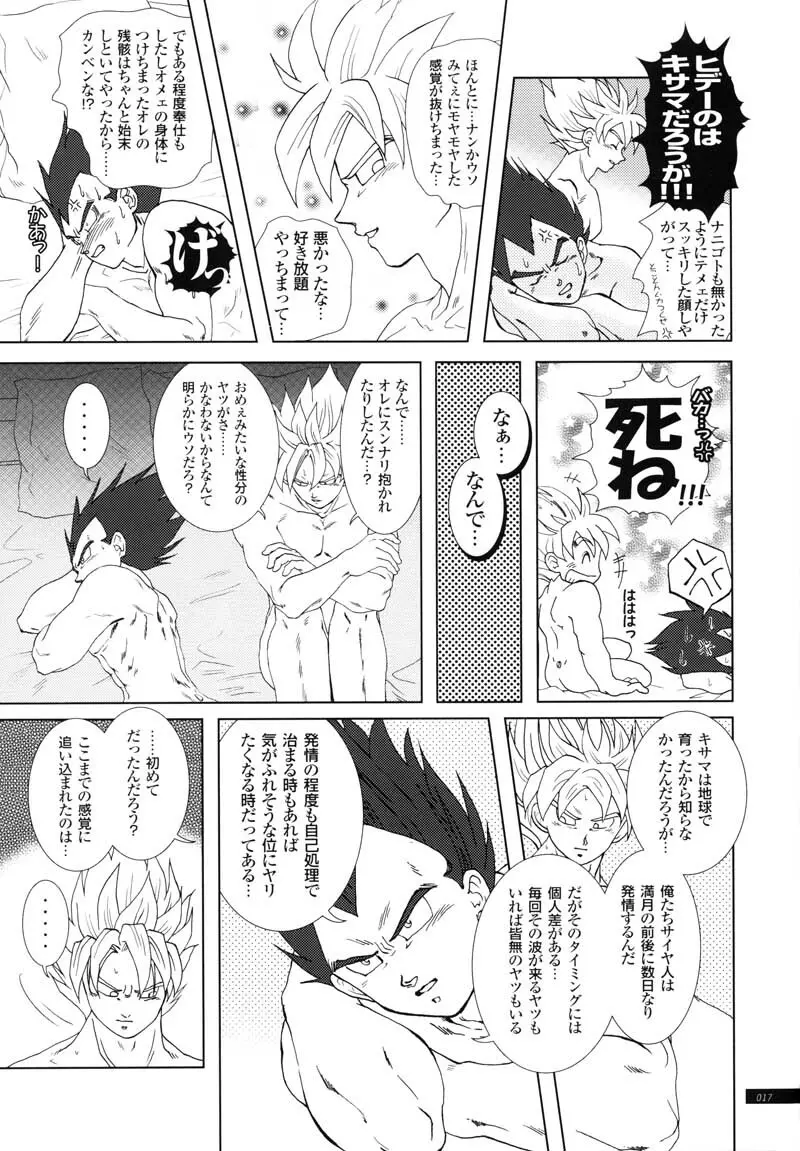 Sairokua Page.15