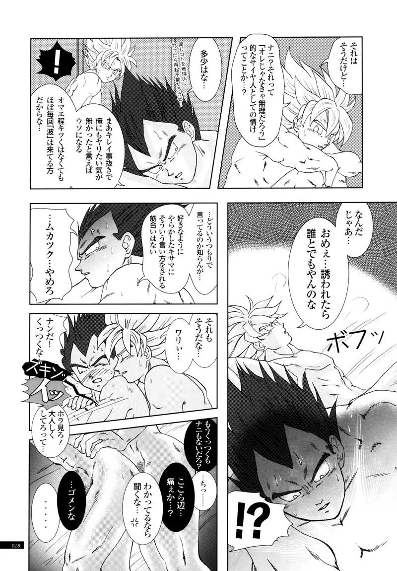 Sairokua Page.16