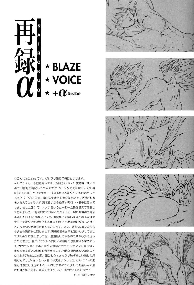 Sairokua Page.19