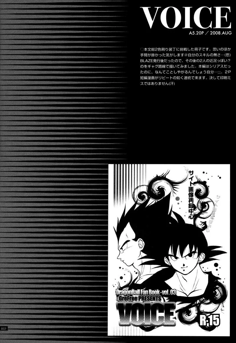Sairokua Page.20