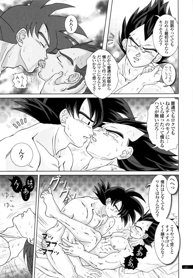 Sairokua Page.29