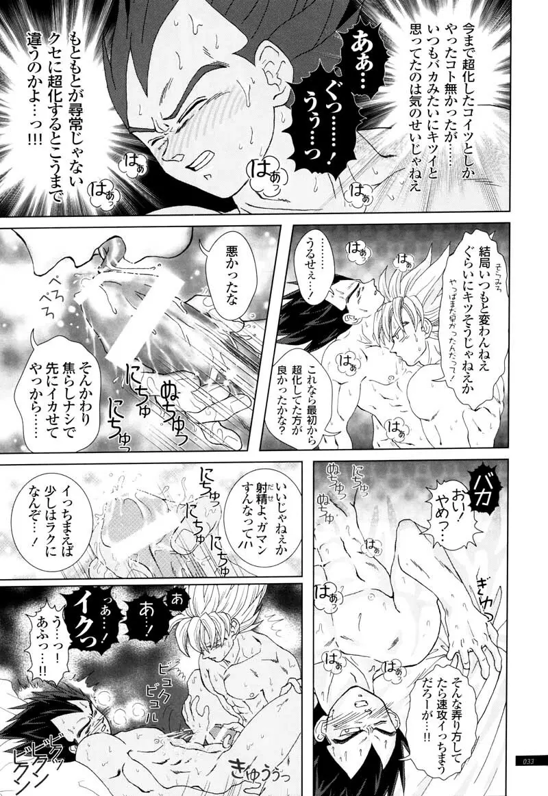 Sairokua Page.31