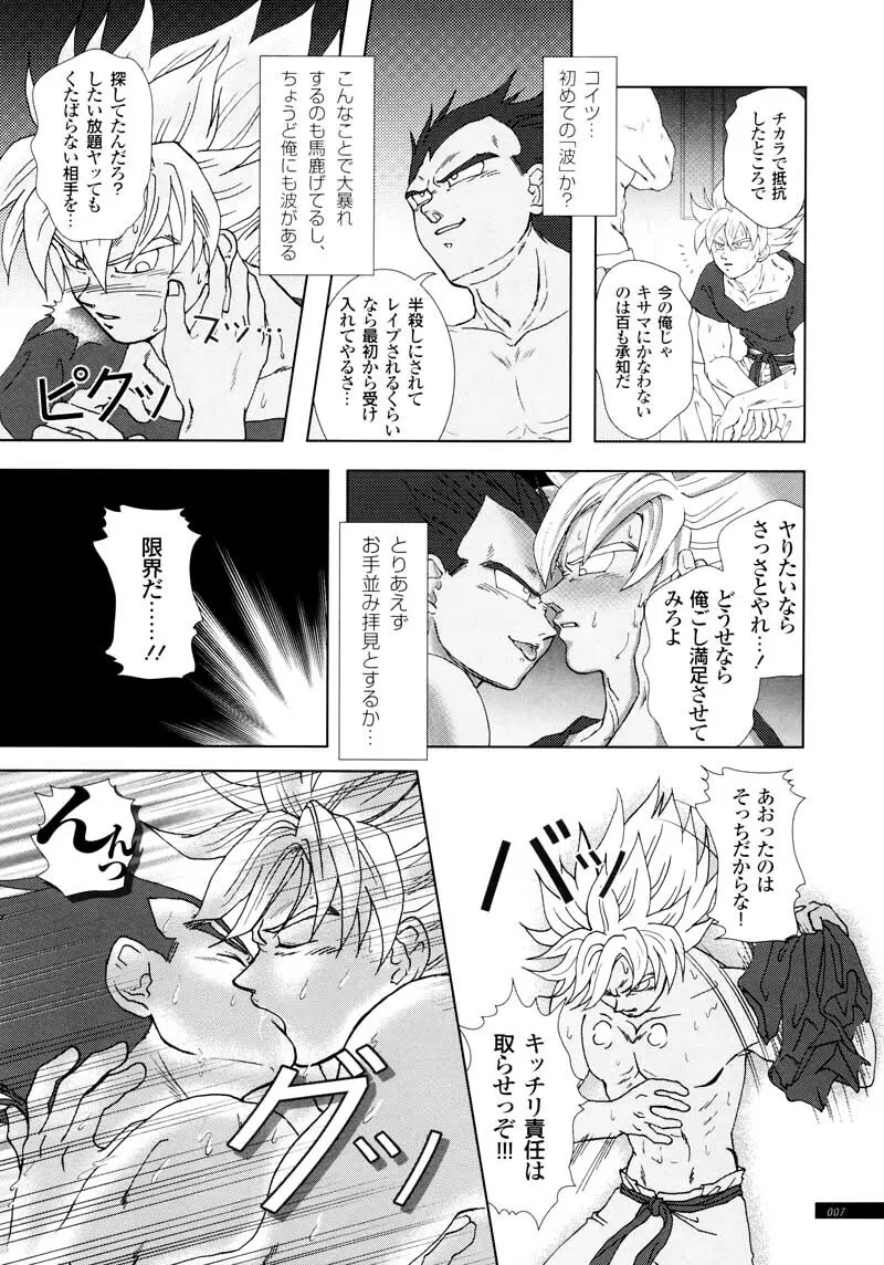 Sairokua Page.5