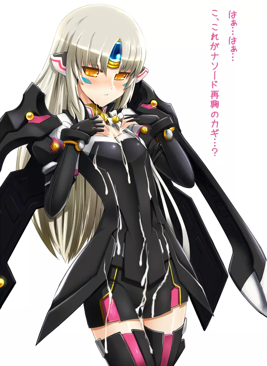 Elsword CodeNemesis swimsuit Page.6