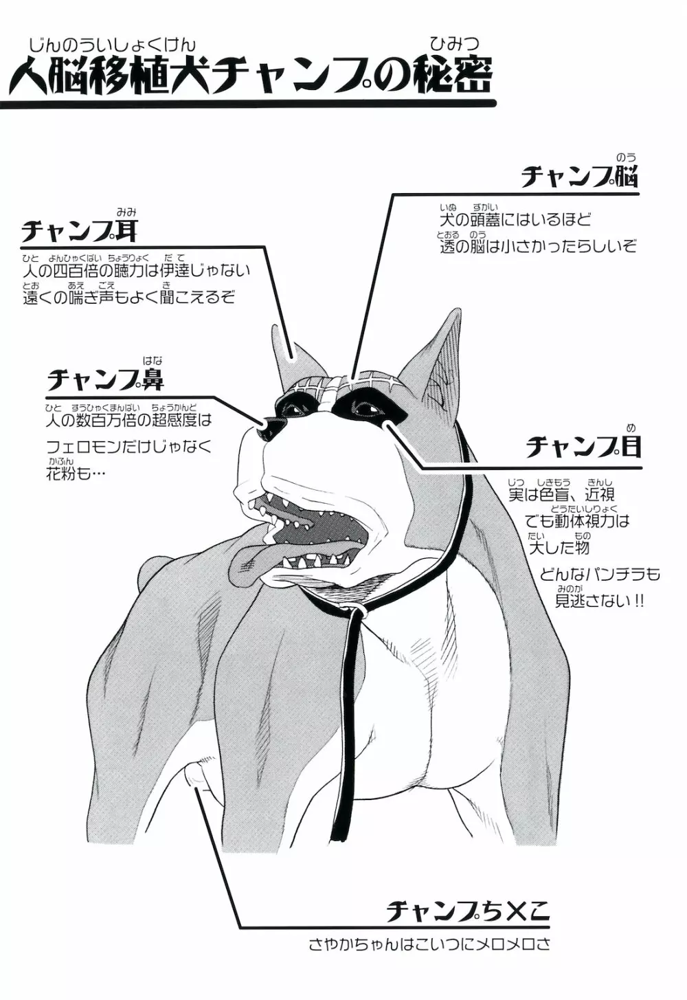 おｋ Page.4