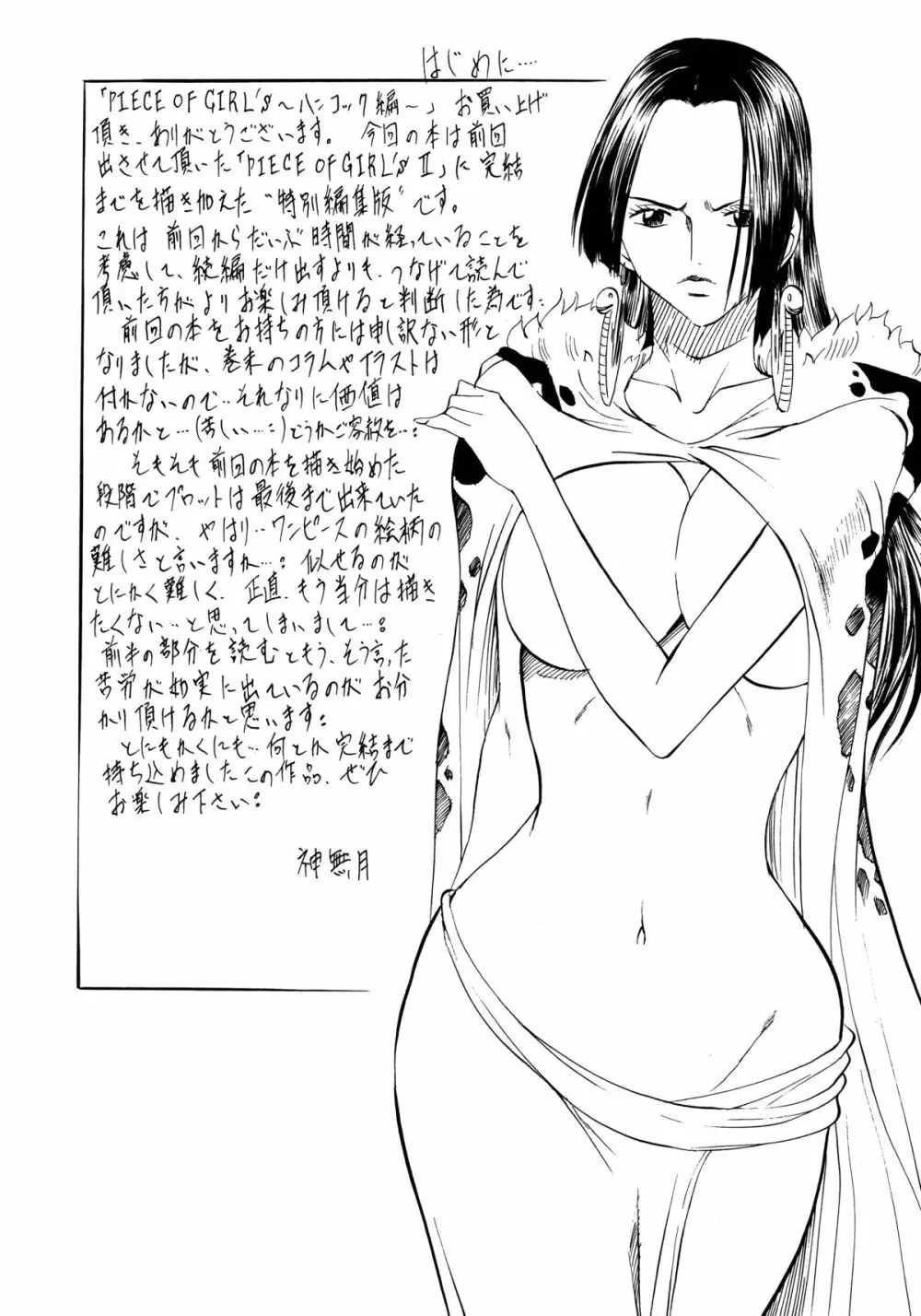 武装女神アーカイブスシリーズ1 「PIECE OF GIRL's ～ハンコック編～」 Page.3