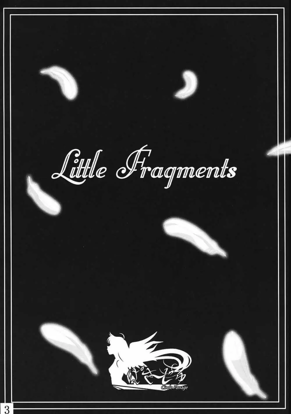Little Fragments Page.2