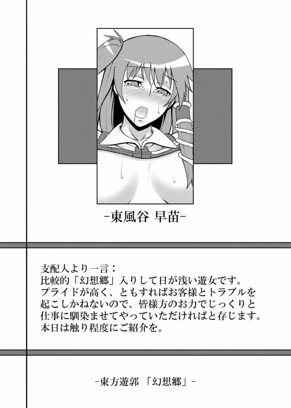 東方projectの本 総集編 Page.31