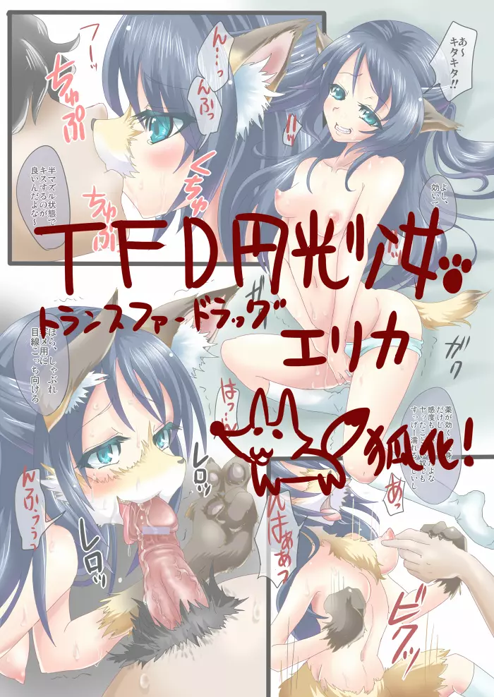 TFD円光少女エリカ Page.1