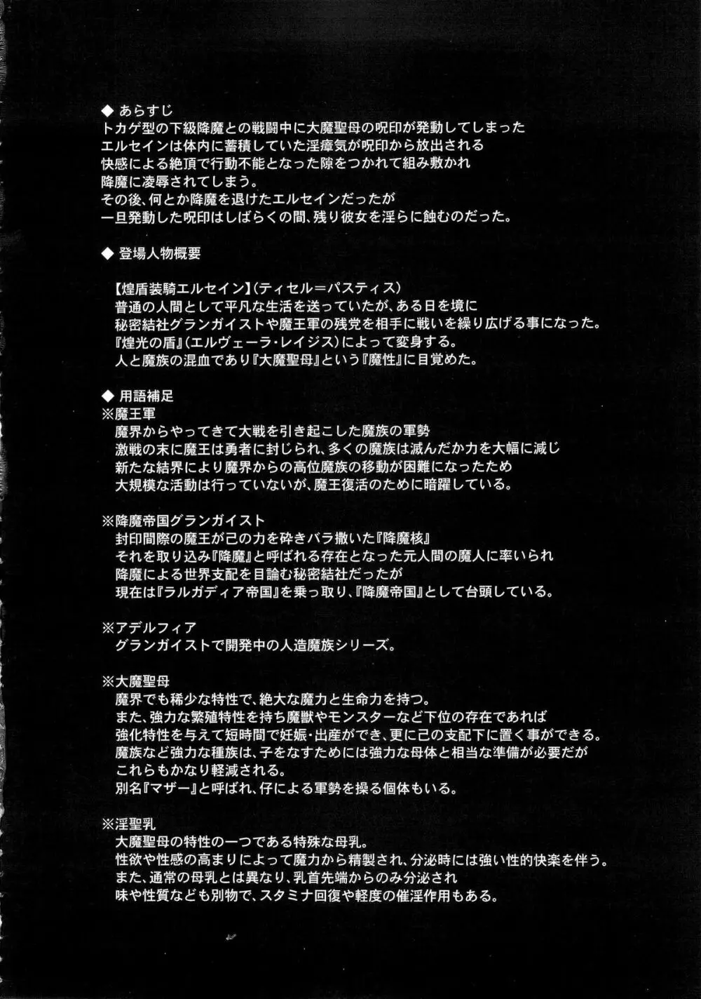 煌盾装騎エルセイン Vol.18 淫従の呪刻印2 Page.3