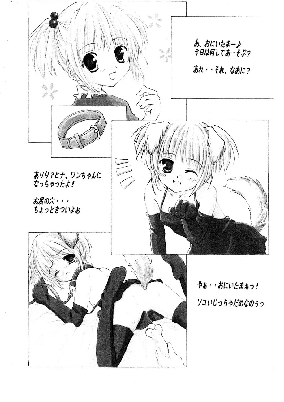 シスコスメ Page.6