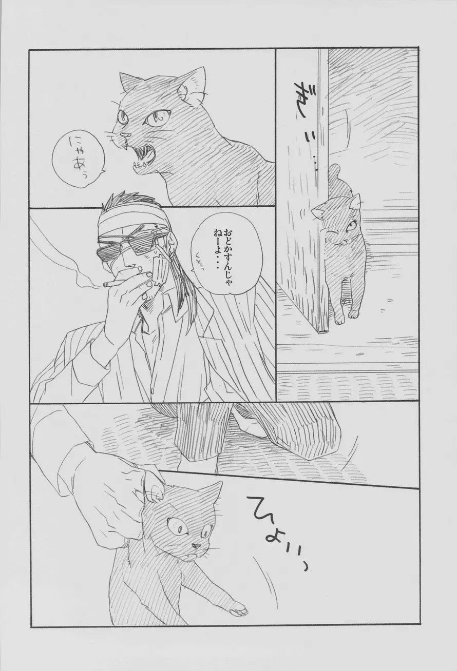 collect Page.54