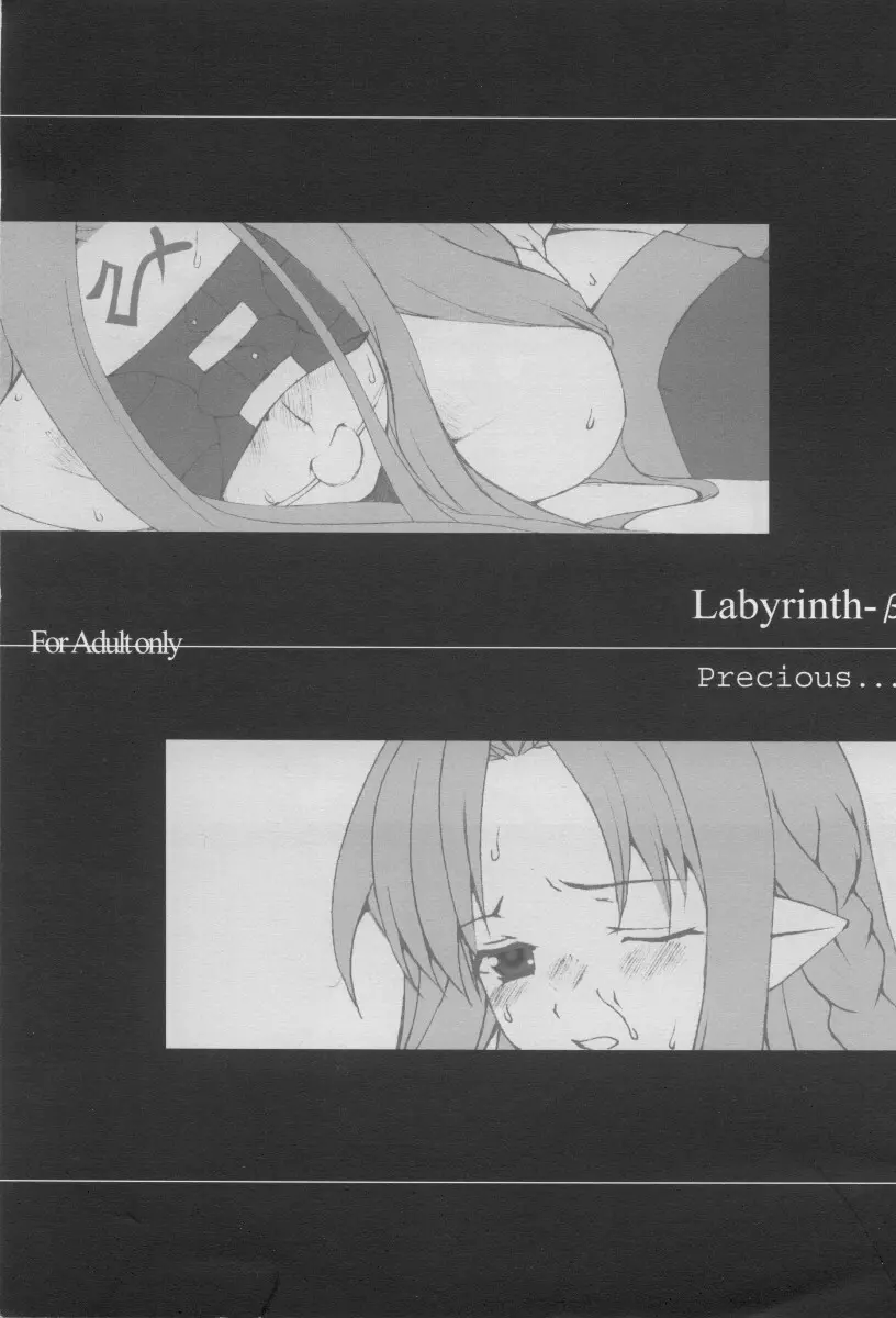 Labyrinth-β Page.1