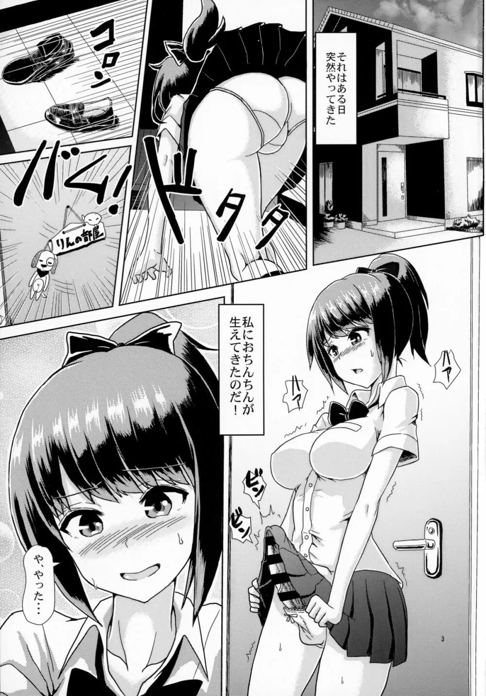 一緒にふたなりプラクティス Page.3