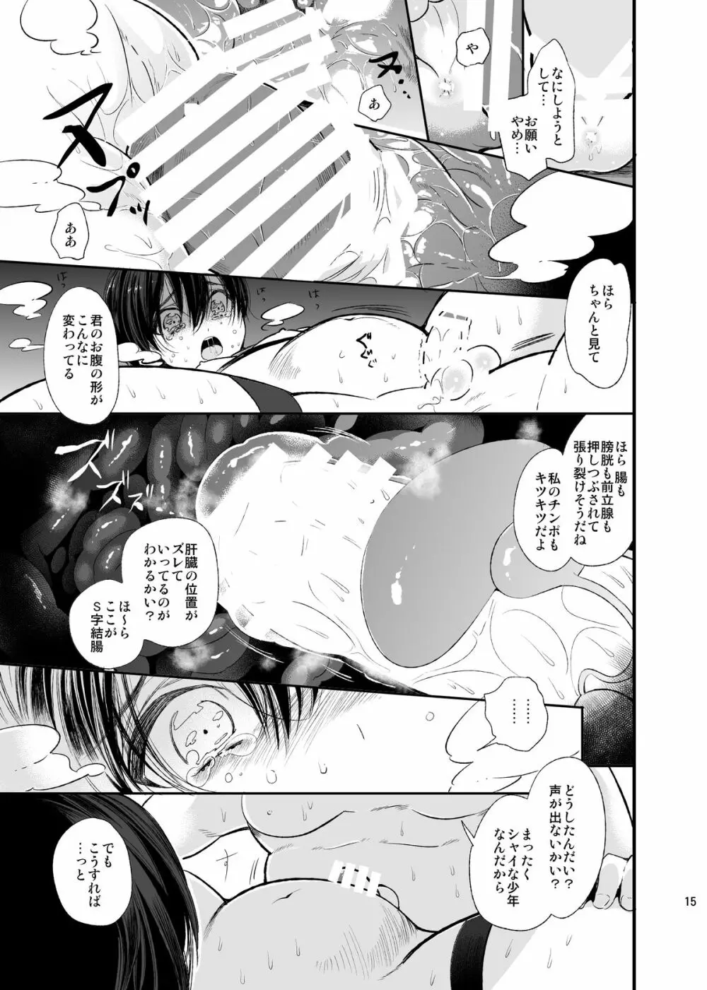 メス堕ち断面セックス Page.14