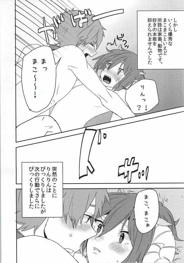 カチクノコイ Page.7