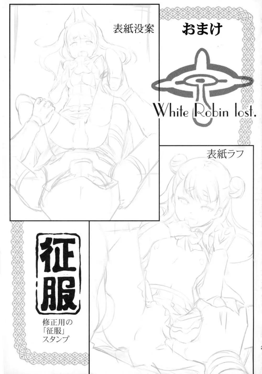 ホワイトロビン敗れたり!! Page.25