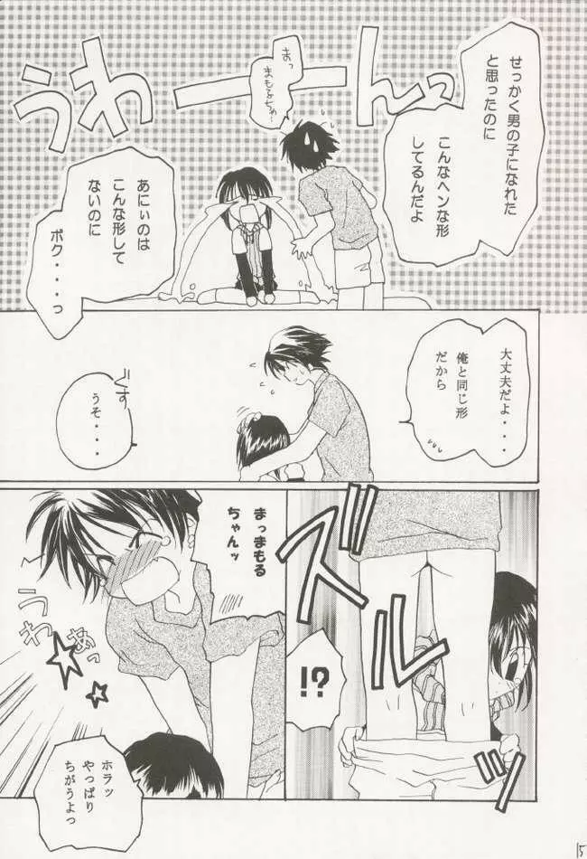 Mamoru: Sister & Brother Page.14