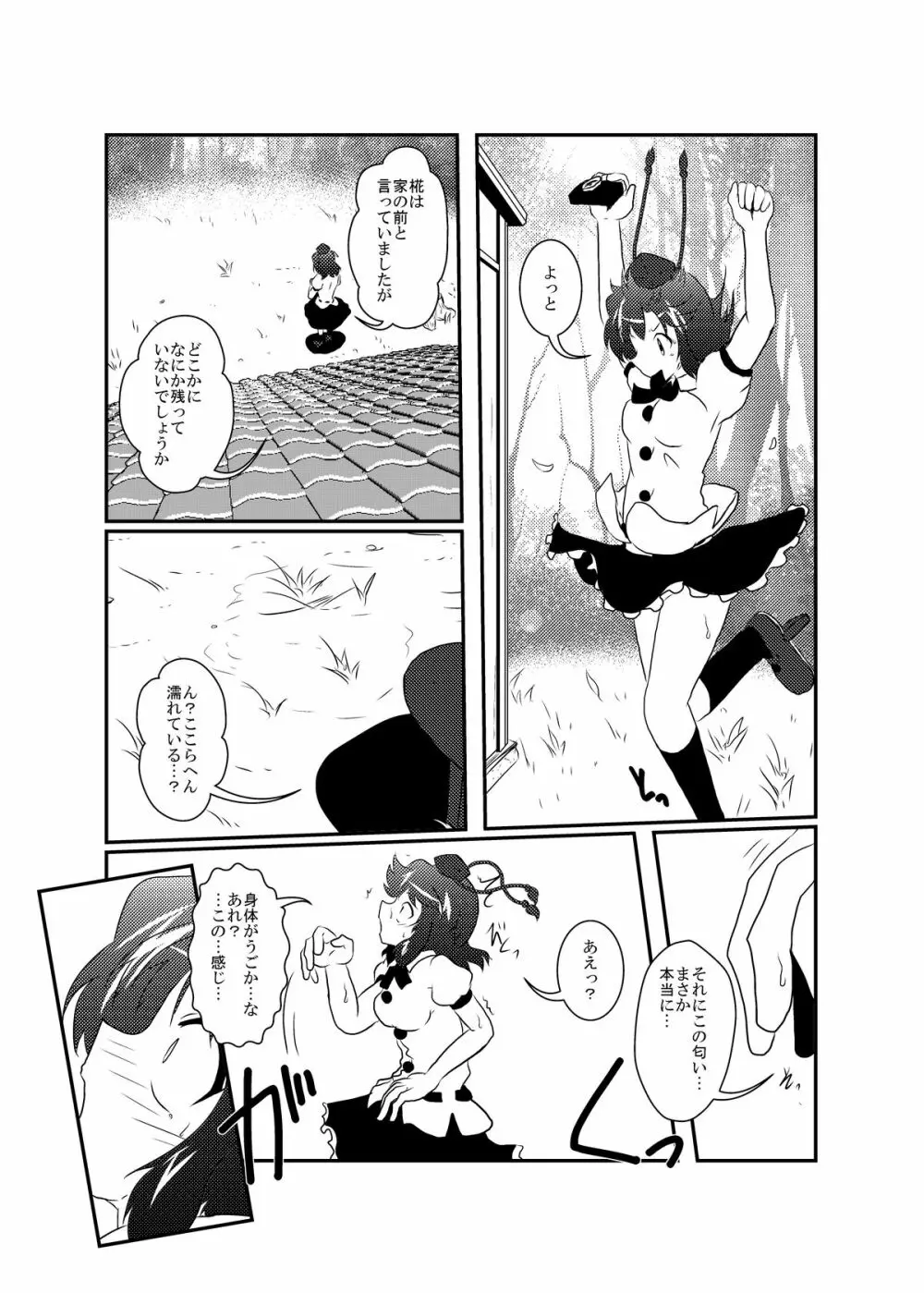 射命丸文変態化記録 Page.9