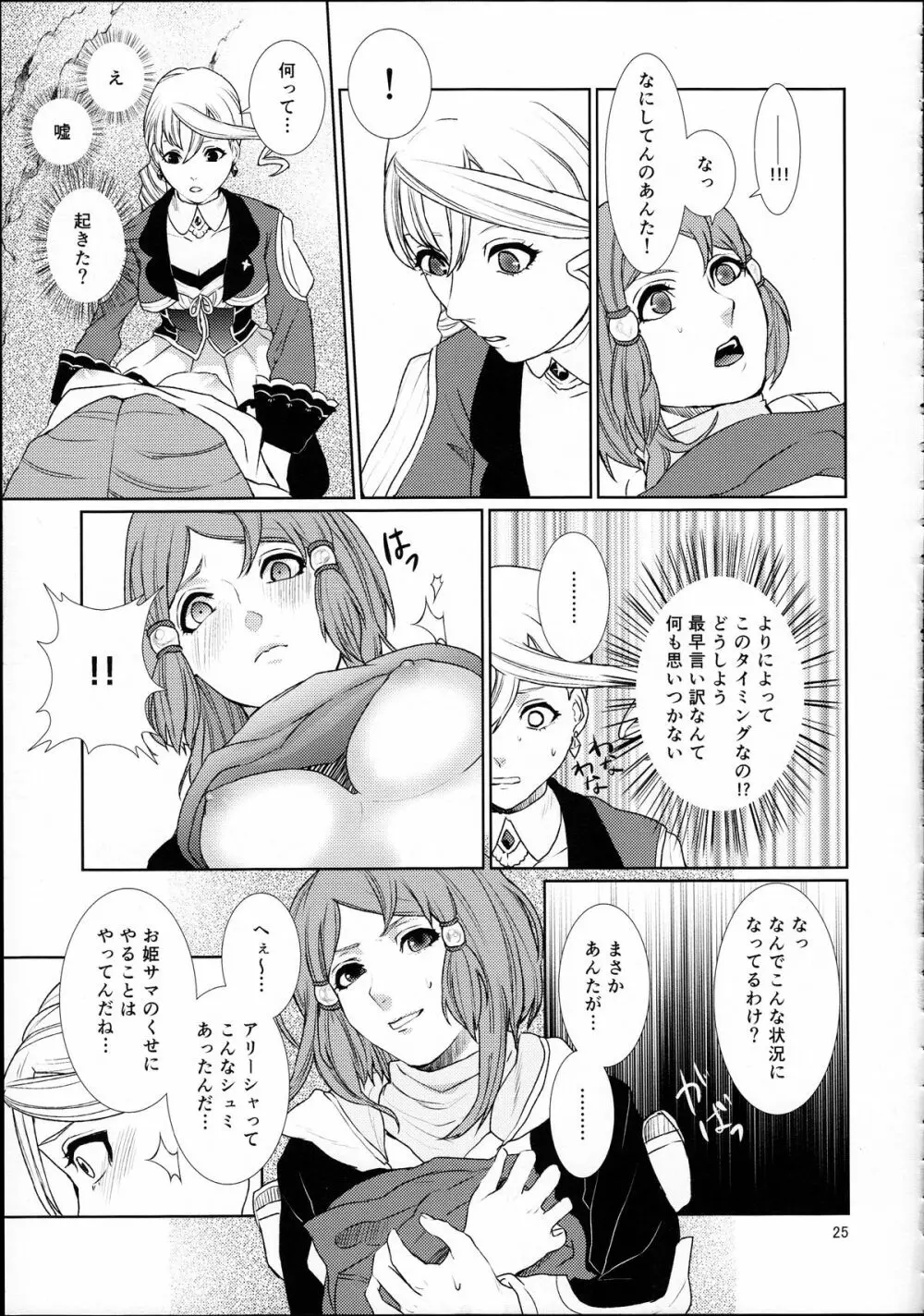 先入知識と接受 Page.25