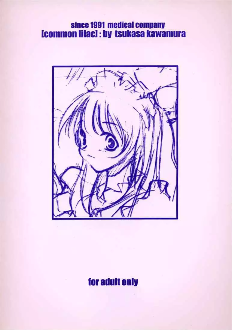 紫丁香花 Page.14