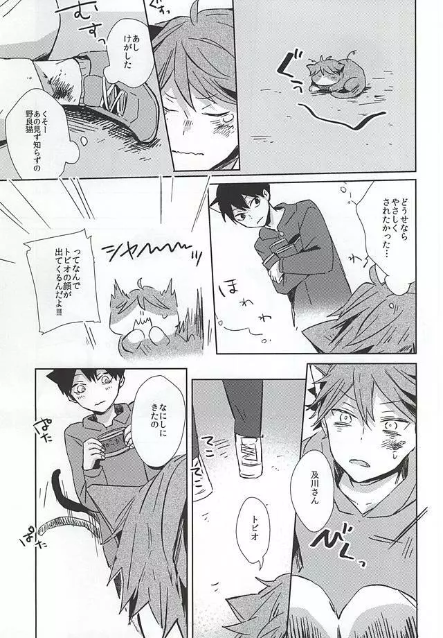 猫になった及川さん Page.12