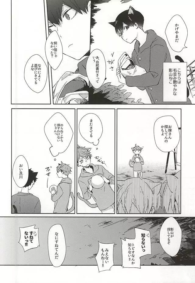 猫になった及川さん Page.3