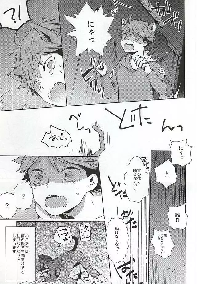 猫になった及川さん Page.8
