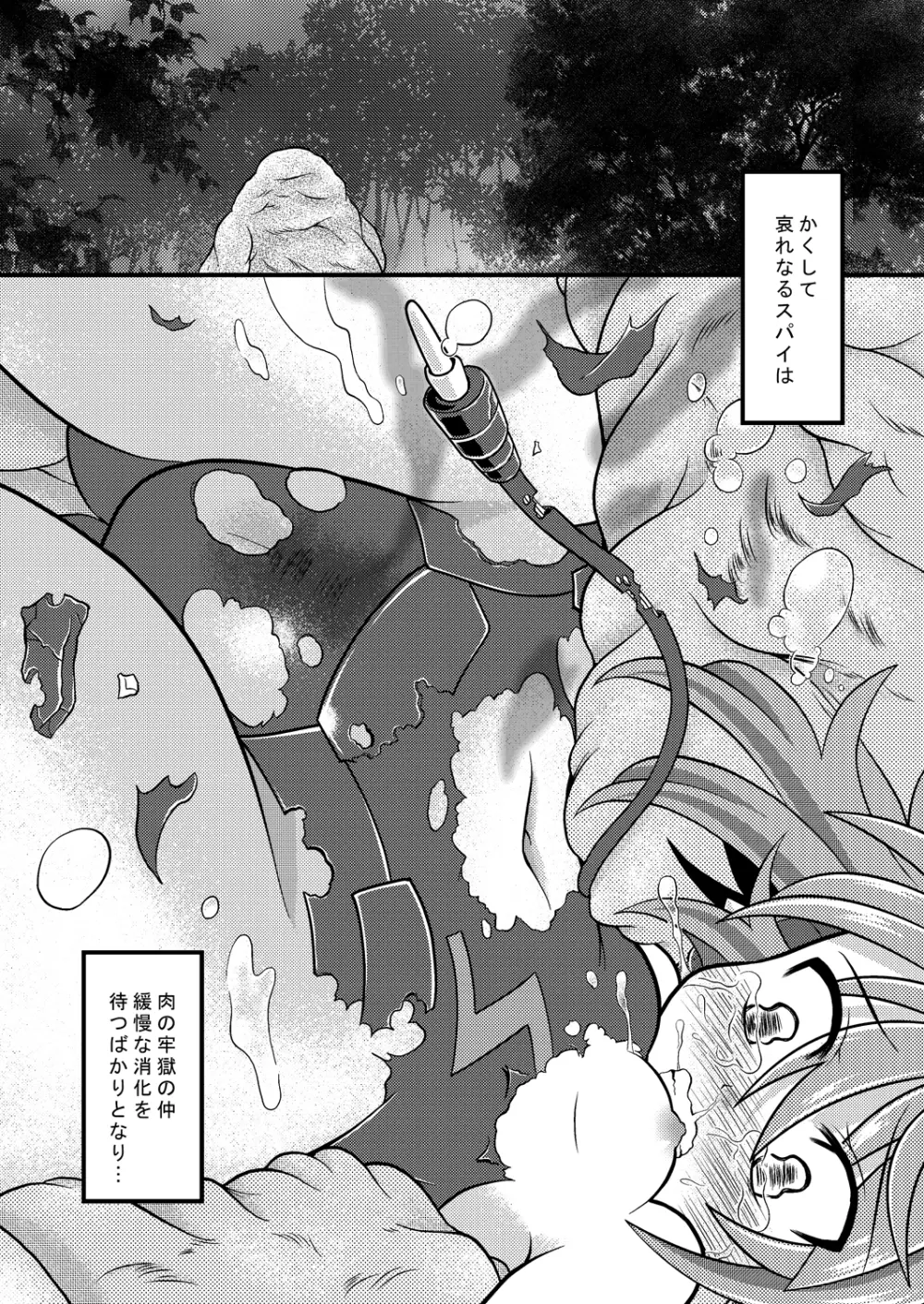 トルマリン漬け・鬼龍産 Page.17