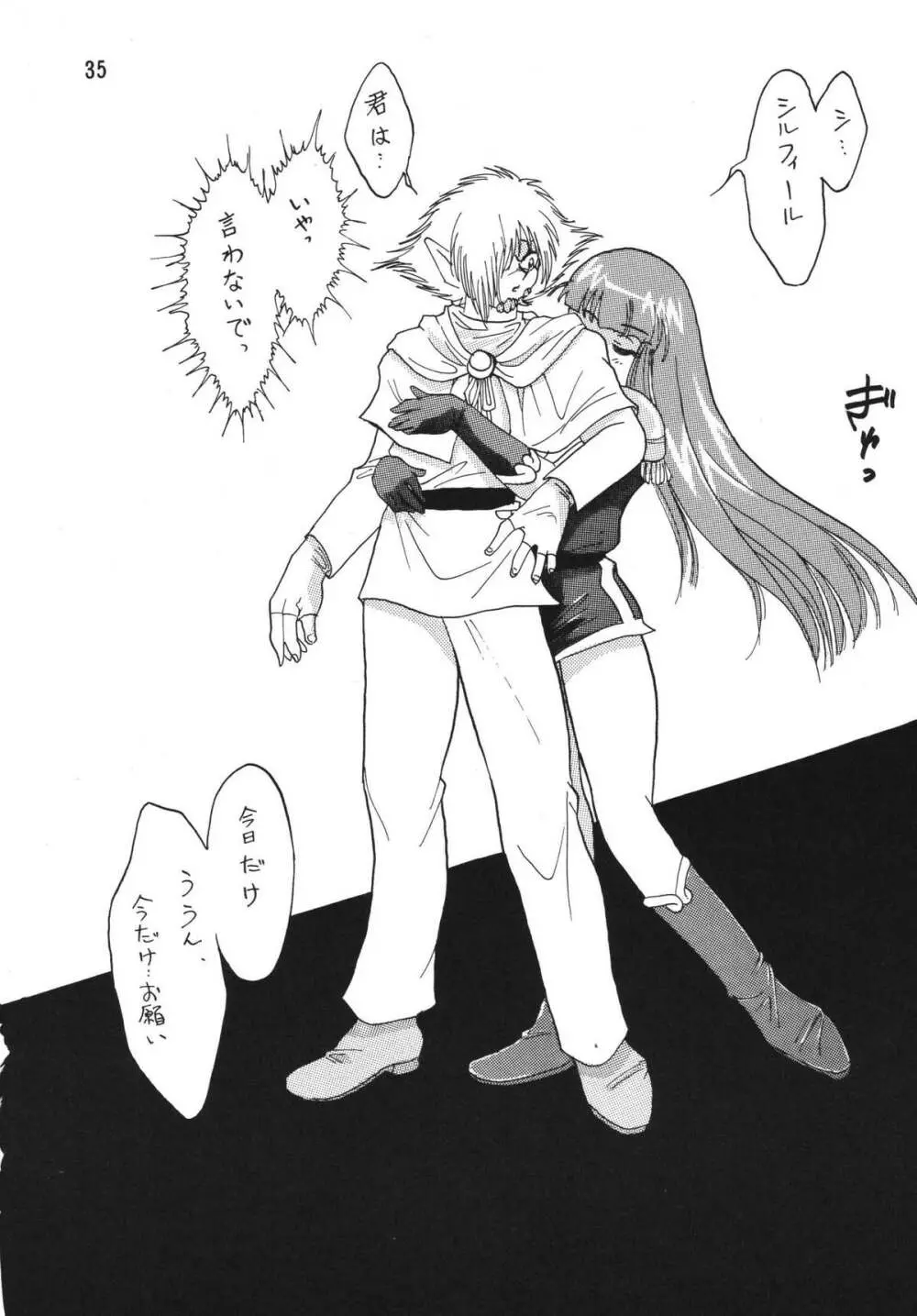 SLAYERS ADULT 2 Page.35